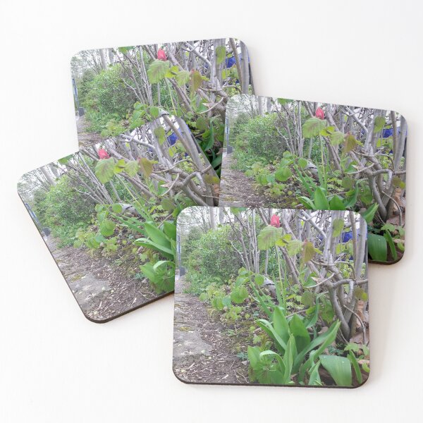 Item preview, #364 |☼| A Spot Of Red Among The Green - Shot 1 (Matlock Bath) designed and sold by Naean H.F. (Nez Man).