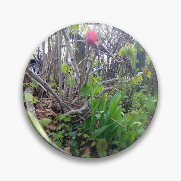 Item preview, #365 |☼| A Spot Of Red Among The Green - Shot 2 (Matlock Bath) designed and sold by Naean H.F. (Nez Man).