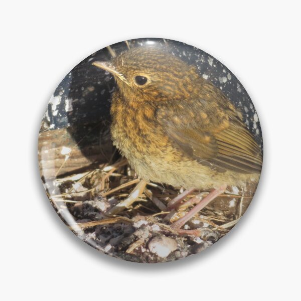 Item preview, The Fluffy Baby Robin designed and sold by wiggyofipswich.