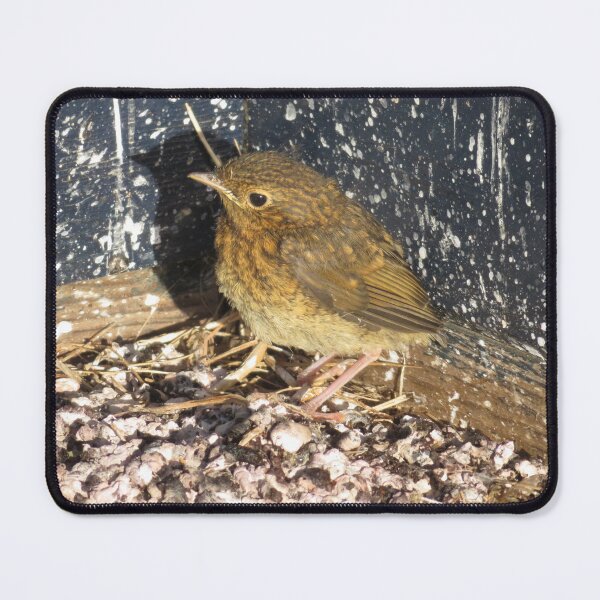 Item preview, The Fluffy Baby Robin designed and sold by wiggyofipswich.