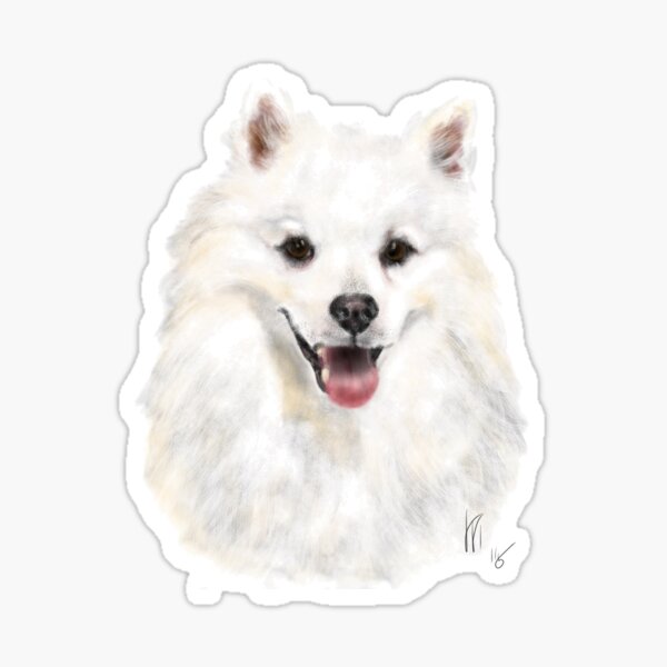 Happy Smiling American Eskimo Dog Sticker