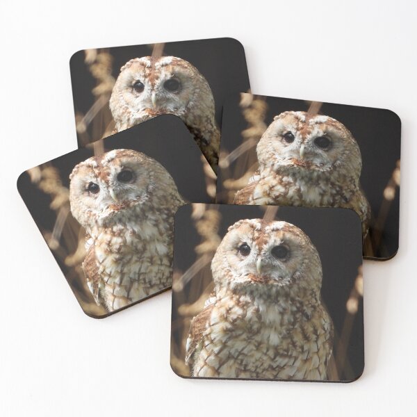 Item preview, Tawny Owl and Golden Grass designed and sold by Barnbk02.