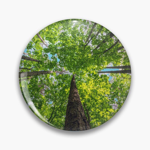 Artikelvorschau, üppiger Wald entworfen und verkauft von AIMARADREAM.