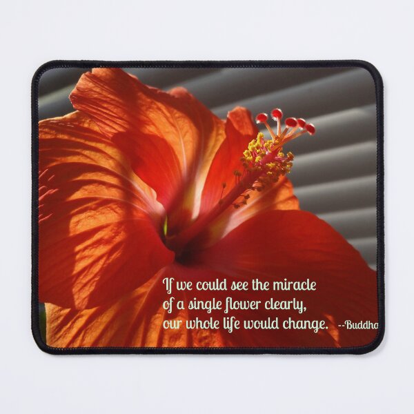 Item preview, The Miracle of a Single Flower Photo Quote designed and sold by CarolBeeDesigns.
