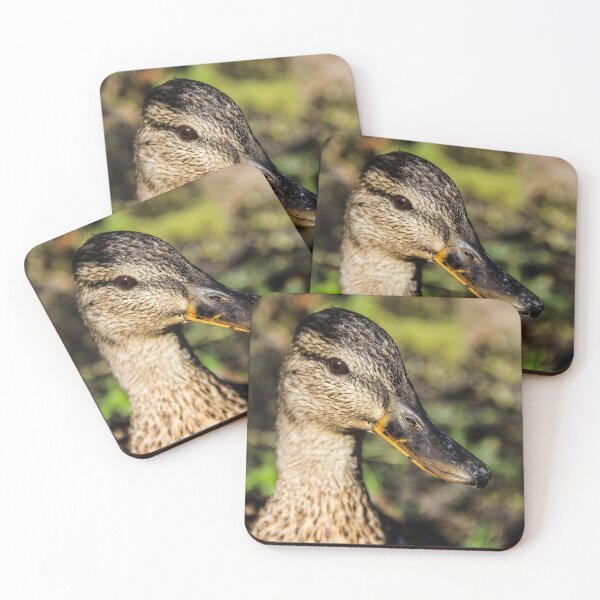 Item preview, Duck close up designed and sold by Arielkro.