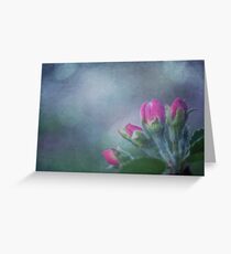 Flower on old vintage color grunge paper background Greeting Card