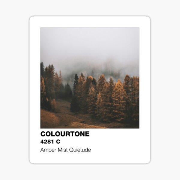 Vista previa del artículo con la obra «COLOURTONE - Estética del bosque con niebla ambarina», diseñado y vendido por YumeMochi.