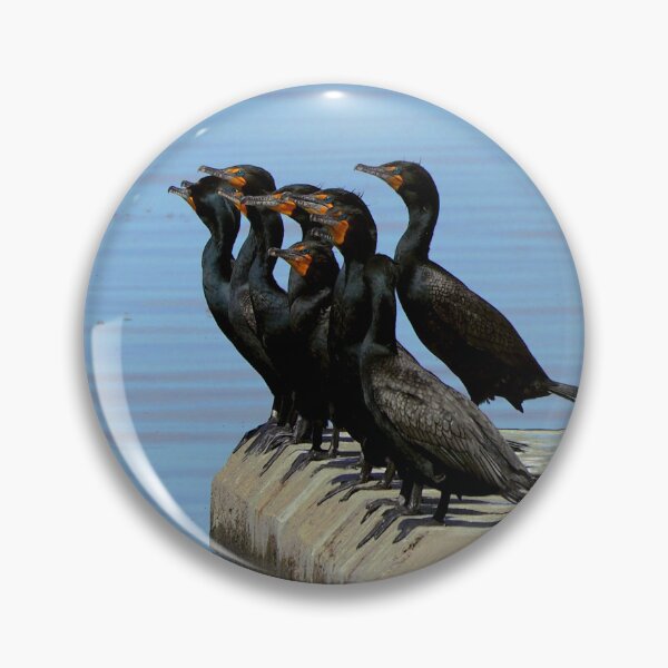 Item preview, Double-crested Cormorant Flock On a Dock designed and sold by BackyardBirder.