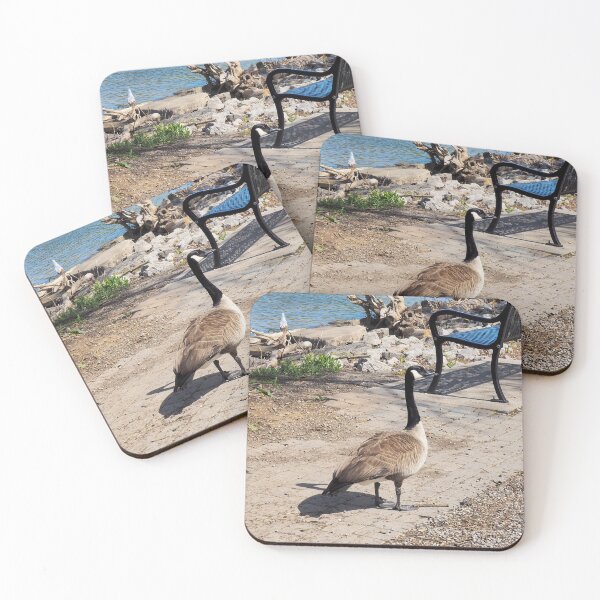 Item preview, Canada Goose By a Park Bench designed and sold by BackyardBirder.