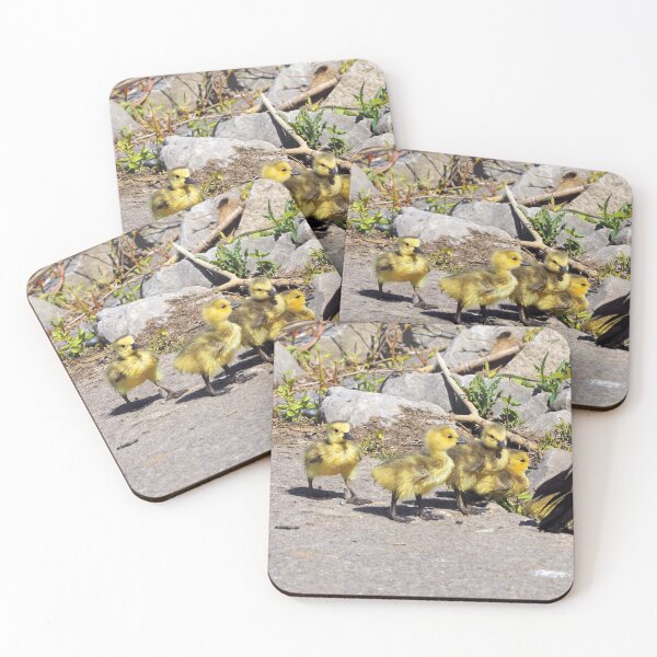 Item preview, Canada Goose Goslings Behind Mom designed and sold by BackyardBirder.