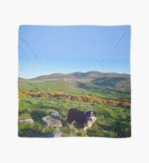 Outsider. Scarf