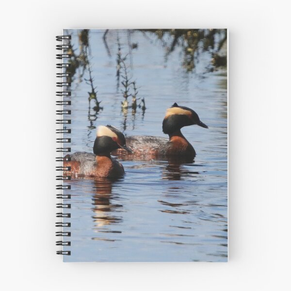 Item preview, Horned Grebe Couple designed and sold by Alyce Taylor.