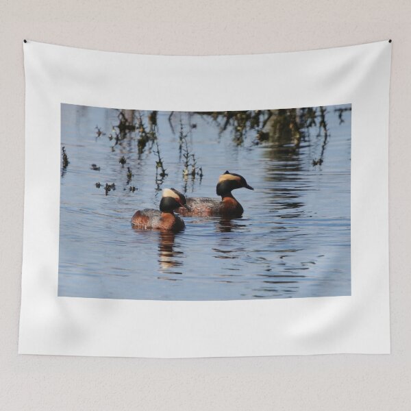 Item preview, Horned Grebe Couple designed and sold by Alyce Taylor.