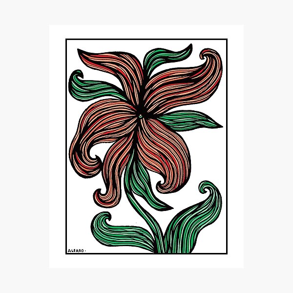 Crimson Blossom Photographic Print