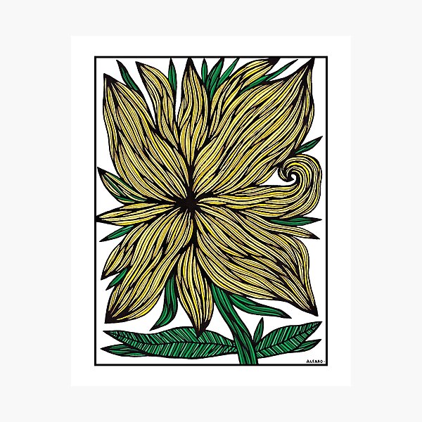Golden Glow Photographic Print