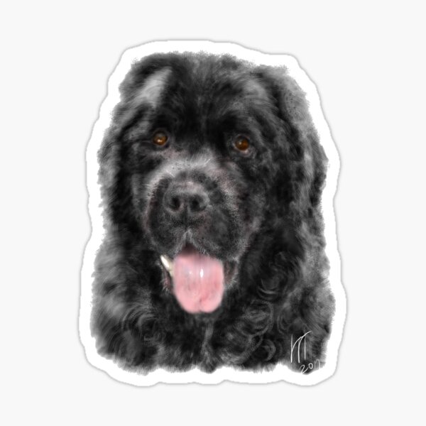 A custom hand painted digital image of a Smiling Black Newfoundland Dog Sticker