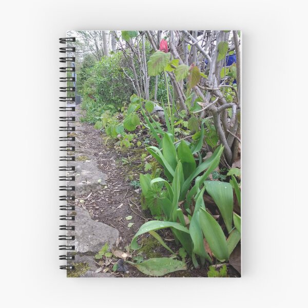 Item preview, #364 |☼| A Spot Of Red Among The Green - Shot 1 (Matlock Bath) designed and sold by Naean H.F. (Nez Man).