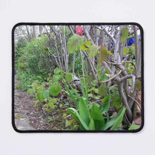 Item preview, #364 |☼| A Spot Of Red Among The Green - Shot 1 (Matlock Bath) designed and sold by Naean H.F. (Nez Man).