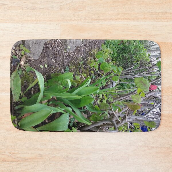 Item preview, #364 |☼| A Spot Of Red Among The Green - Shot 1 (Matlock Bath) designed and sold by Naean H.F. (Nez Man).