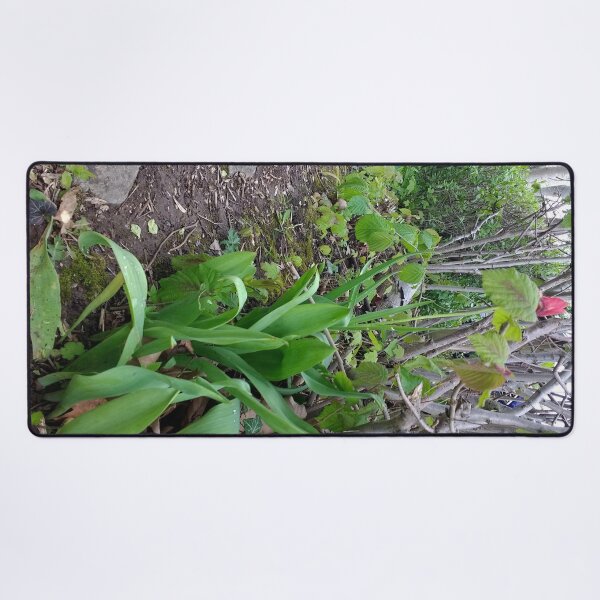 Item preview, #364 |☼| A Spot Of Red Among The Green - Shot 1 (Matlock Bath) designed and sold by Naean H.F. (Nez Man).