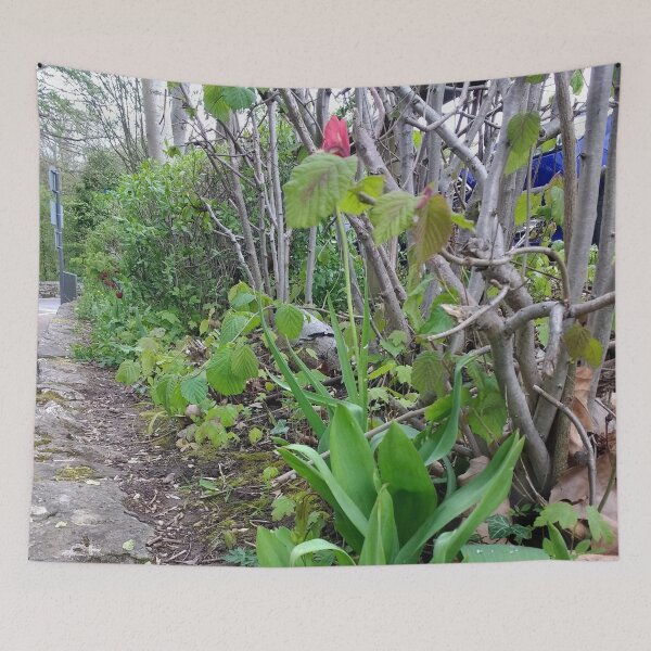 Item preview, #364 |☼| A Spot Of Red Among The Green - Shot 1 (Matlock Bath) designed and sold by Naean H.F. (Nez Man).