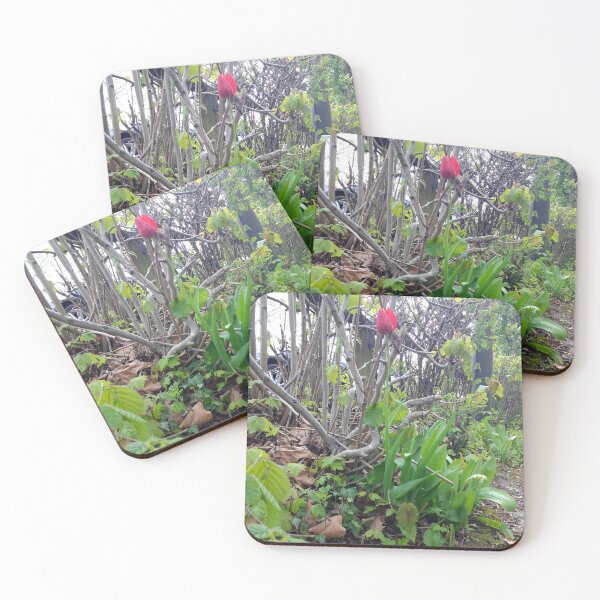Item preview, #365 |☼| A Spot Of Red Among The Green - Shot 2 (Matlock Bath) designed and sold by Naean H.F. (Nez Man).