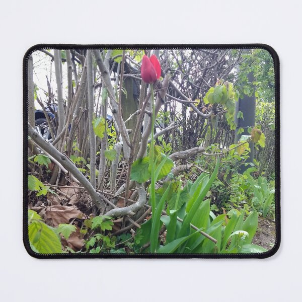 Item preview, #365 |☼| A Spot Of Red Among The Green - Shot 2 (Matlock Bath) designed and sold by Naean H.F. (Nez Man).