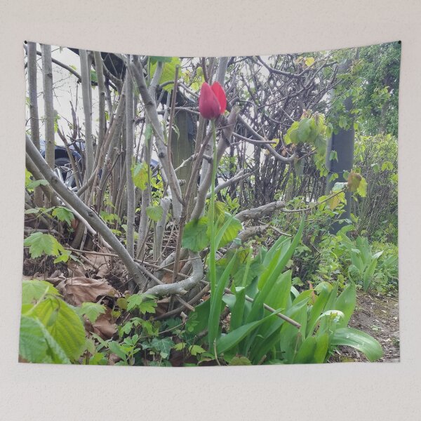 Item preview, #365 |☼| A Spot Of Red Among The Green - Shot 2 (Matlock Bath) designed and sold by Naean H.F. (Nez Man).