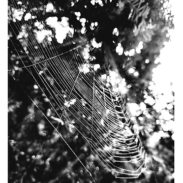 Artwork thumbnail, Silk Threads by OutJsWindow