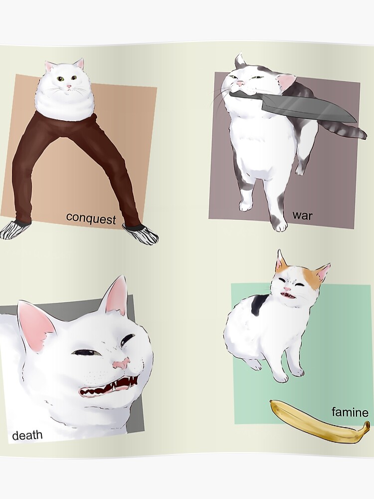 Catto Chart