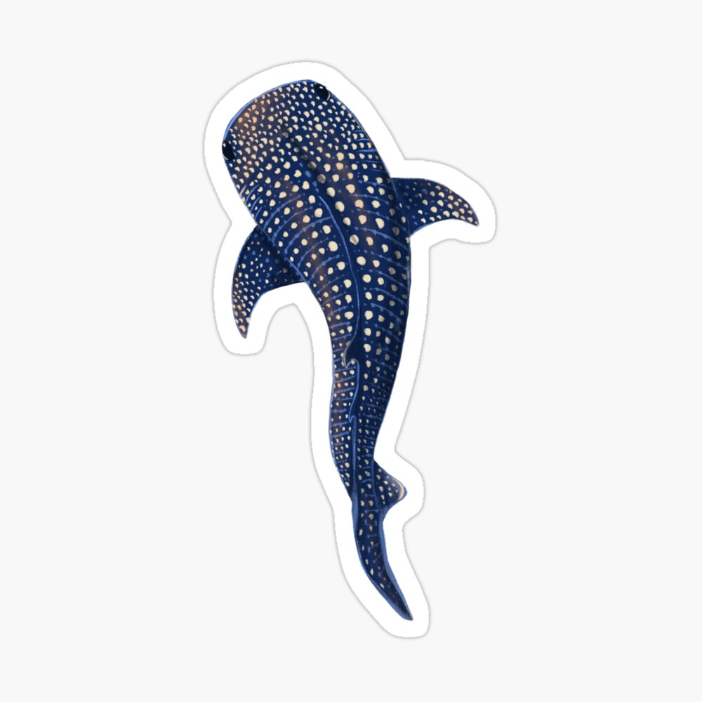 Whale Shark Poster