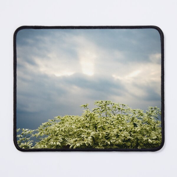 Item preview, Pure Serenity designed and sold by 3411xMNP.