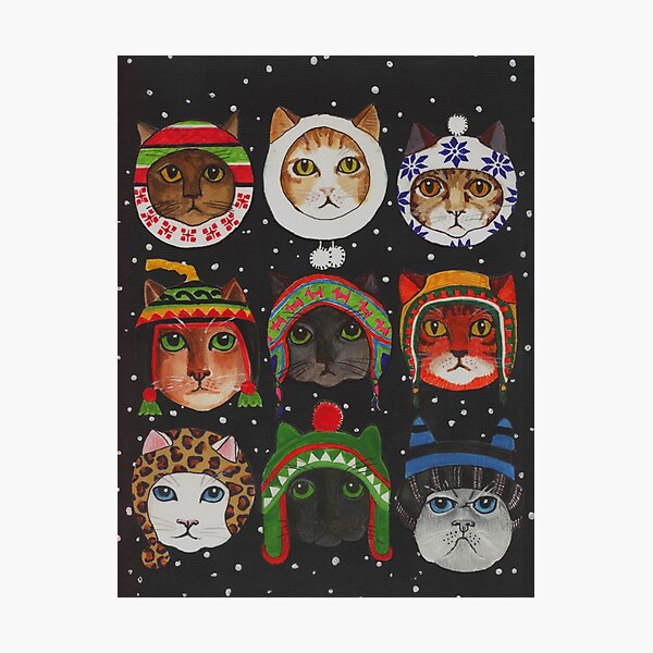Cats in Winter Hats Photographic Print
