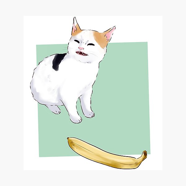 I draw the angry cat no banana meme Photographic Print for Sale