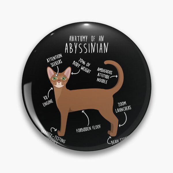 Item preview, Abyssinian Cat Anatomy designed and sold by Clara Hollins.