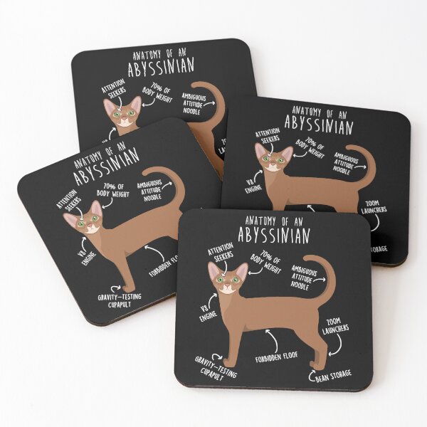 Item preview, Abyssinian Cat Anatomy designed and sold by Clara Hollins.