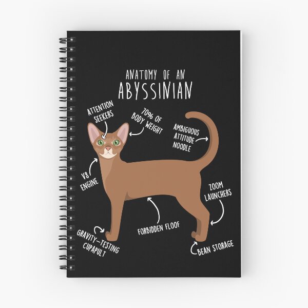 Item preview, Abyssinian Cat Anatomy designed and sold by Clara Hollins.