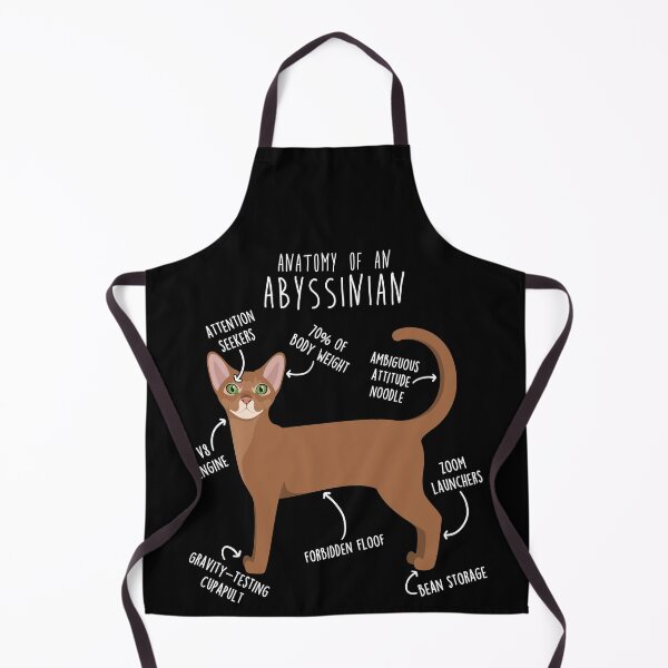 Item preview, Abyssinian Cat Anatomy designed and sold by Clara Hollins.