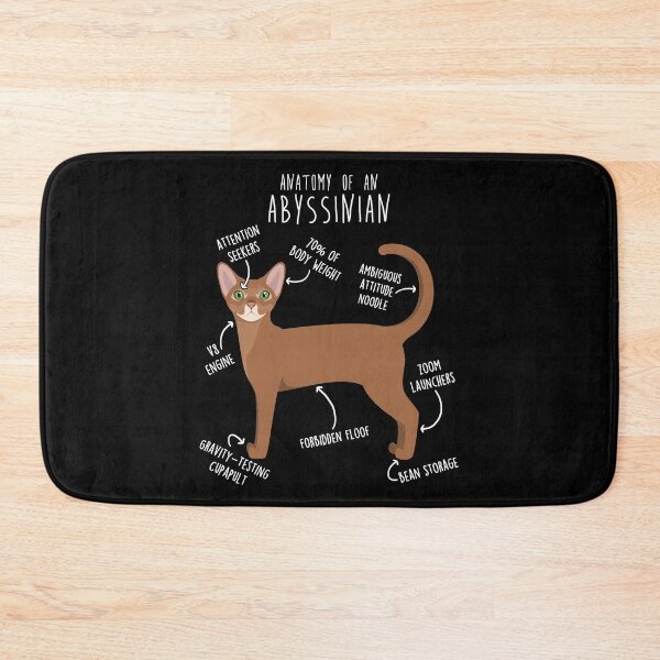 Item preview, Abyssinian Cat Anatomy designed and sold by Clara Hollins.