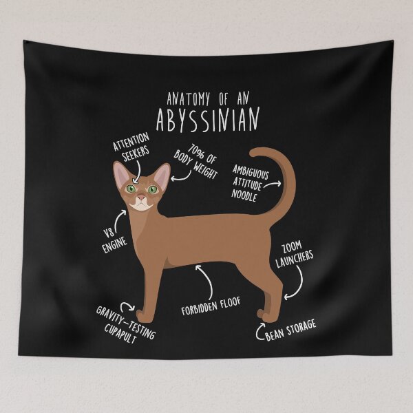 Item preview, Abyssinian Cat Anatomy designed and sold by Clara Hollins.