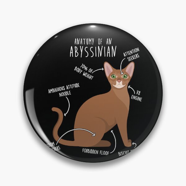 Item preview, Abyssinian Cat Anatomy designed and sold by Clara Hollins.