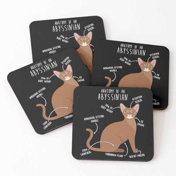 Item preview, Abyssinian Cat Anatomy designed and sold by Clara Hollins.