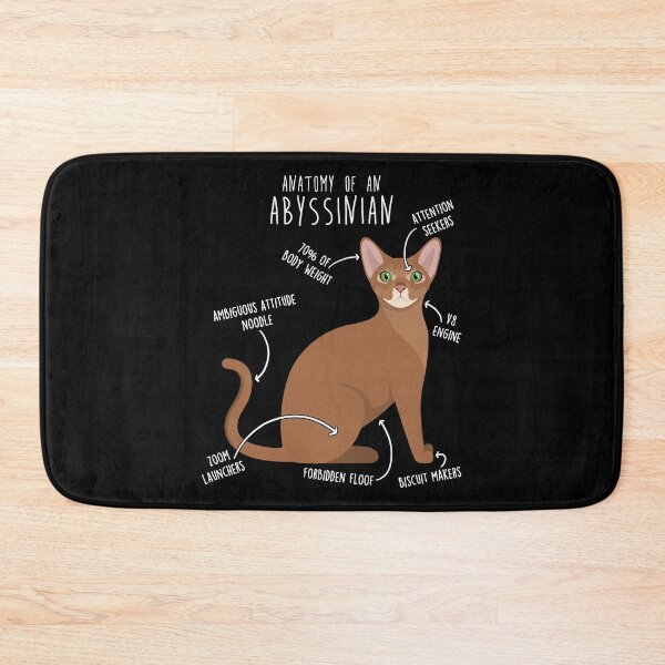 Item preview, Abyssinian Cat Anatomy designed and sold by Clara Hollins.