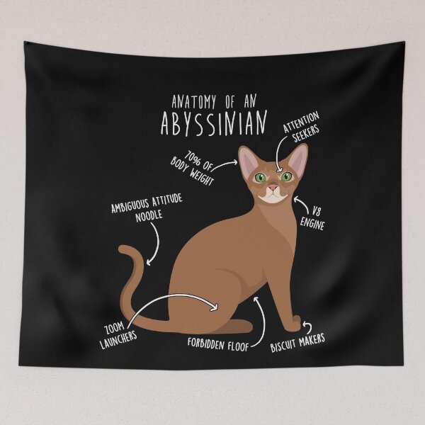 Item preview, Abyssinian Cat Anatomy designed and sold by Clara Hollins.