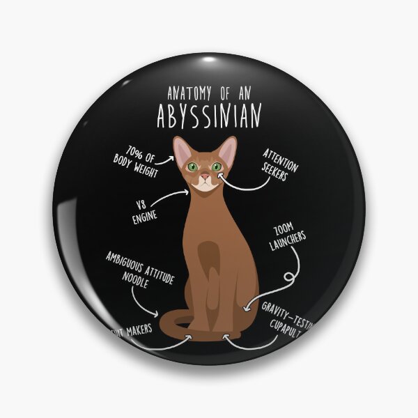 Item preview, Abyssinian Cat Anatomy designed and sold by Clara Hollins.