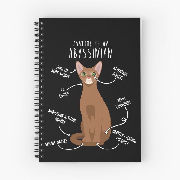 Item preview, Abyssinian Cat Anatomy designed and sold by Clara Hollins.