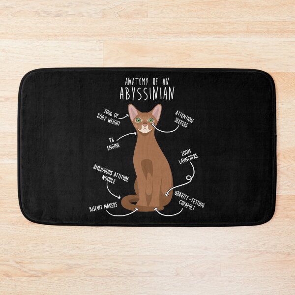 Item preview, Abyssinian Cat Anatomy designed and sold by Clara Hollins.