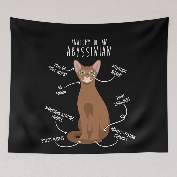 Item preview, Abyssinian Cat Anatomy designed and sold by Clara Hollins.