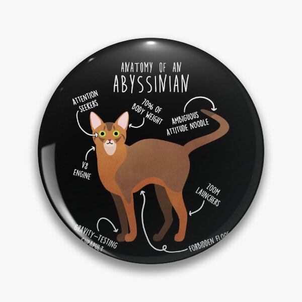 Item preview, Abyssinian Cat Anatomy designed and sold by Clara Hollins.