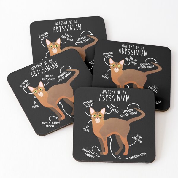 Item preview, Abyssinian Cat Anatomy designed and sold by Clara Hollins.